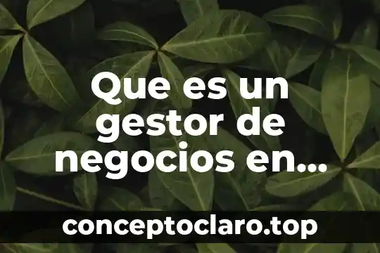 Que es proyecto en plan de negocios 4 Que es un gestor de negocios en mexico