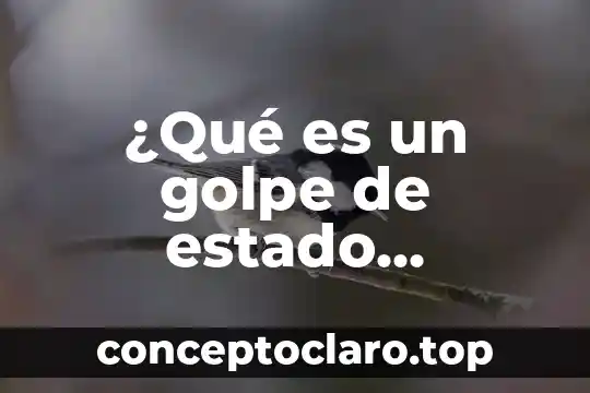Qué es un humanware y ejemplos 7 ¿Qué es un golpe de estado ejemplos?