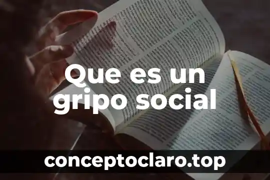 Que es un programa de subsidio o infraestructura social 5 Que es un gripo social