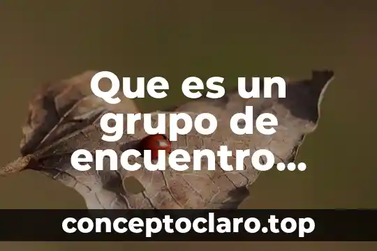 Según Carl Rogers, qué es la apertura a la experiencia 4 Que es un grupo de encuentro segun rogers