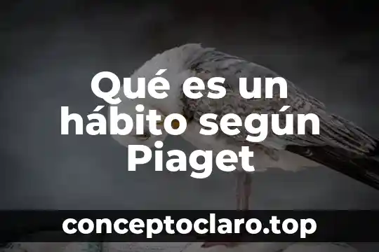 Qué es un hábito según Piaget
