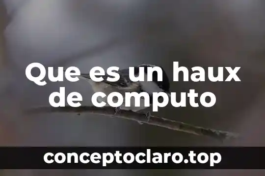 Que es un haux de computo