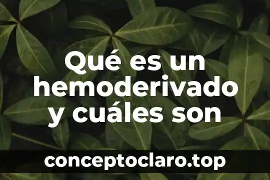 Que es el iso y cuales son sus partes clave 4 Qué es un hemoderivado y cuáles son