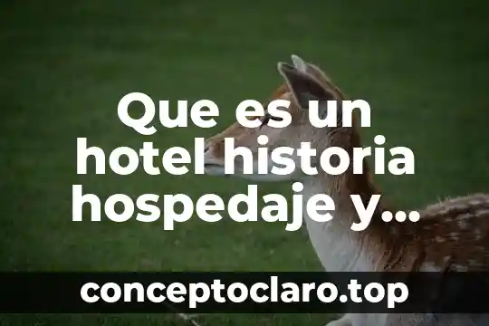 Que es un hotel historia hospedaje y hostal