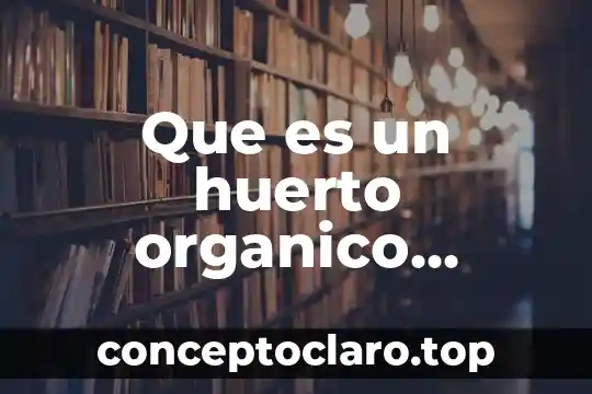 Qué es un huerto y para que sirve 6 Que es un huerto organico escolar