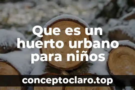 Qué es un huerto y para que sirve 4 Que es un huerto urbano para niños