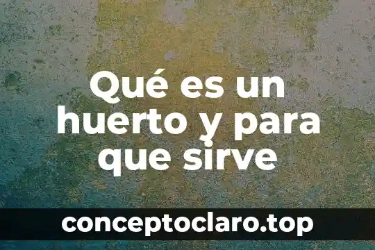 Que es un huerto familiar y su importancia 8 Qué es un huerto y para que sirve