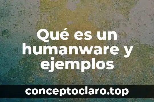 Qué es un servicio web ejemplos 3 Qué es un humanware y ejemplos