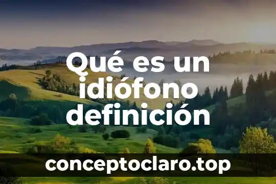 Qué es un idiófono definición