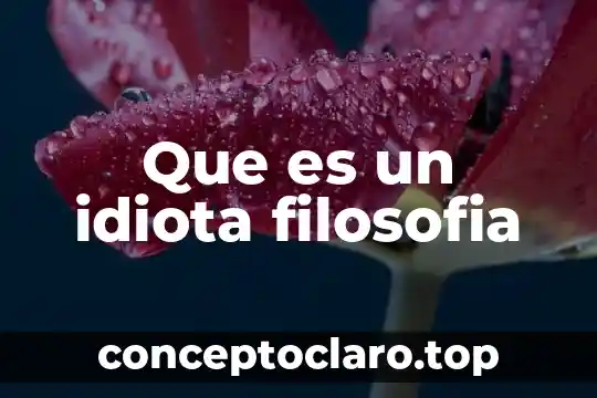 Que es un idiota filosofia