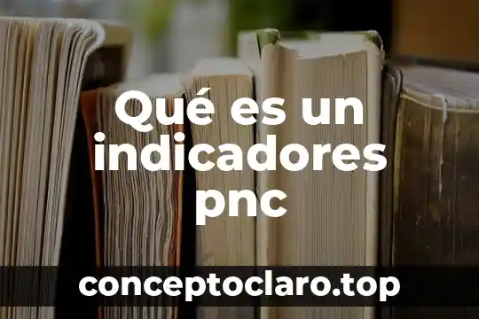 Qué es un indicadores pnc
