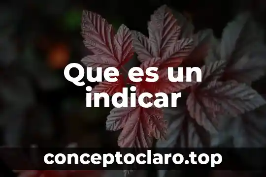 Que es un indicar