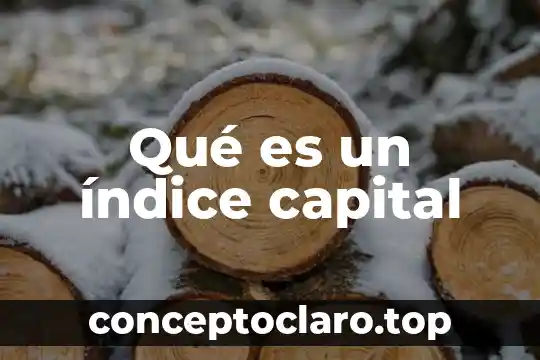 Que es administracion area capital humano 5 Qué es un índice capital