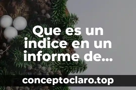 Que es un indice en un informe de auditoria