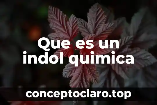 Que es compuesto en quimica organica 4 Que es un indol quimica
