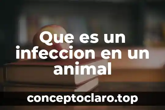 Que es el sorgo en nutricion animal 7 Que es un infeccion en un animal
