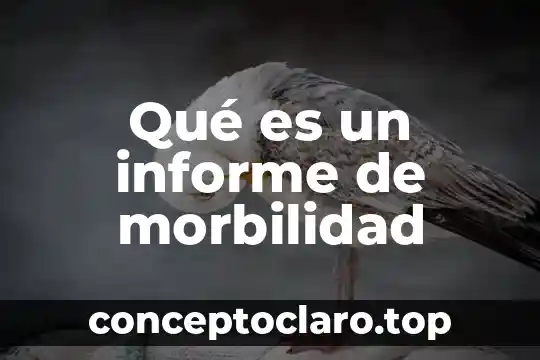 Qué es un informe de morbilidad