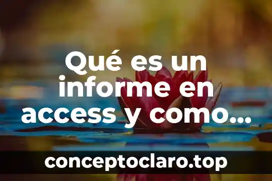 Que es gerontologia educativa 4 Qué es un informe en access y como se crea