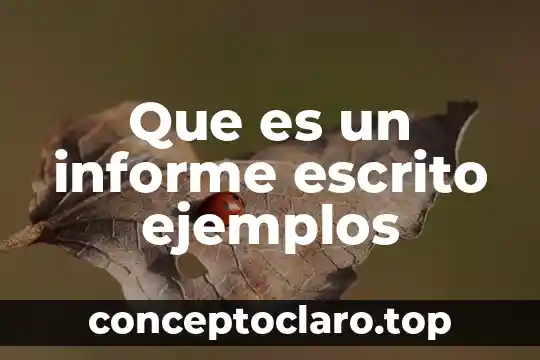 Que es un informe escrito ejemplos