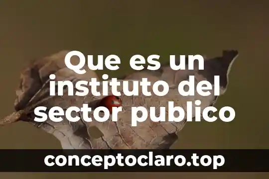 Que es un instituto del sector publico