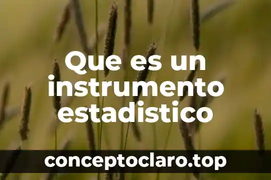 Que es un instrumento estadistico