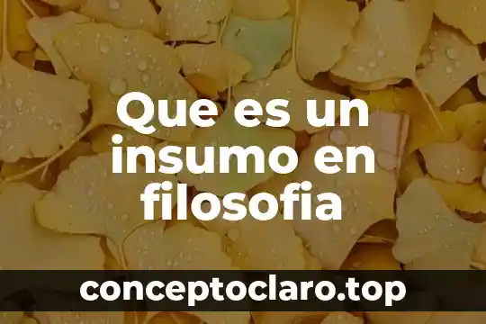 Que es un insumo en filosofia