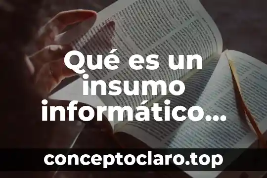 Qué es un insumo informático animado