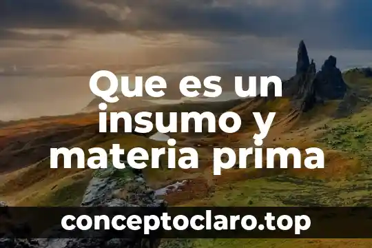 Que es un insumo y materia prima