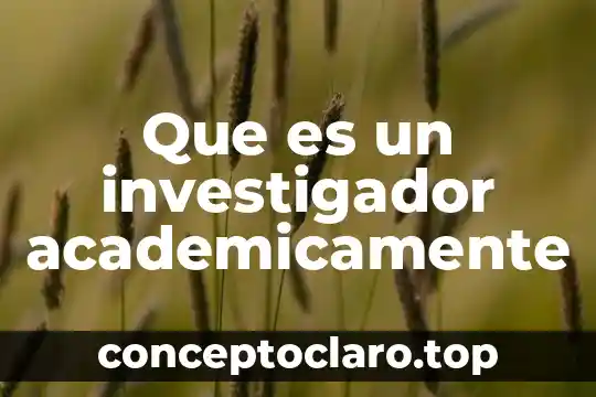 Que es un investigador academicamente