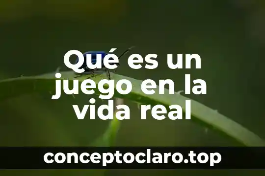 Que es el juego del tochito bandera 6 Qué es un juego en la vida real