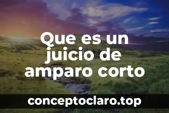 Qué es derecho amparo 7 Que es un juicio de amparo corto