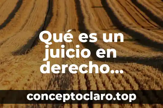 Que es un echo procesal y acto procesal 7 Qué es un juicio en derecho procesal penal