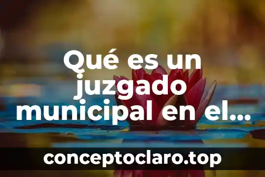 Qué es un juzgado municipal en el nuevo sistema