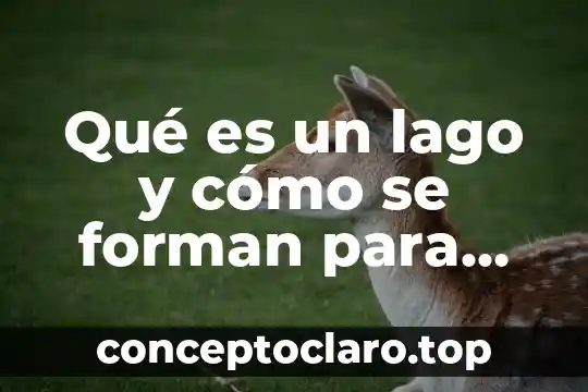 Qué es constelación y qué tipos existen y cómo se forman 5 Qué es un lago y cómo se forman para niños
