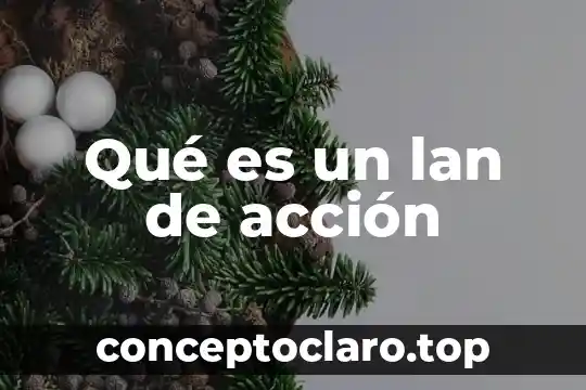 Qué es un lan de acción