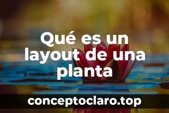 Qué es un layout de una planta