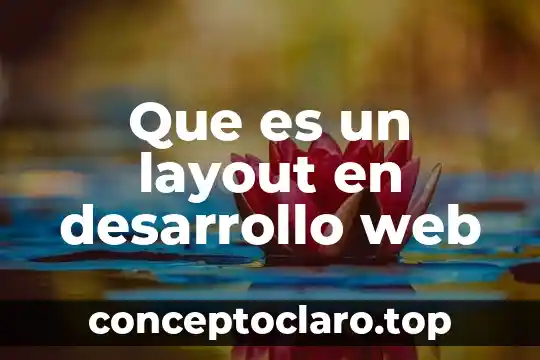 Que es un layout en desarrollo web