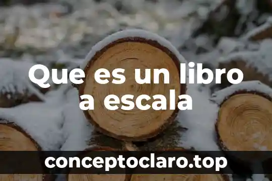 Que es un libro a escala