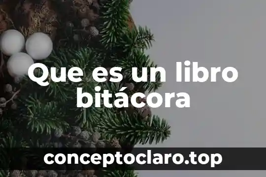 Que es un libro bitácora