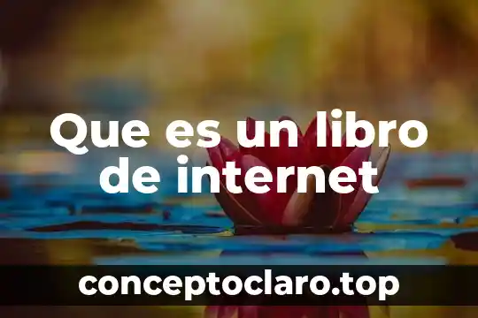 Definición de lo que es capital 5 Que es un libro de internet