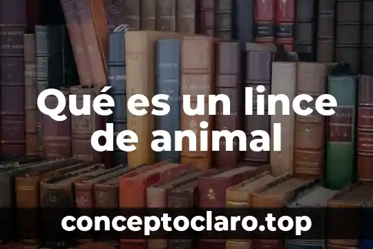 El animal pacarana 7 Qué es un lince de animal