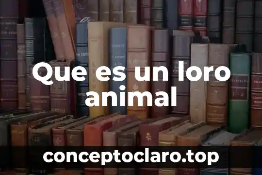 Que es un loro animal