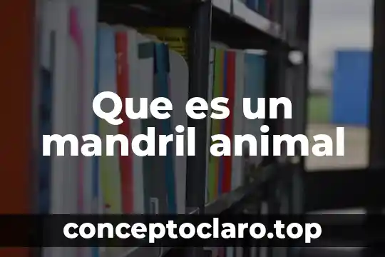 Que es un mandril animal