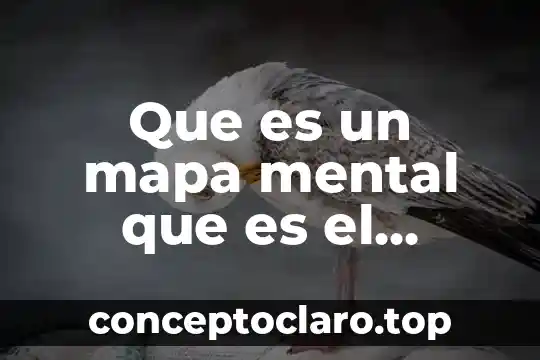 Que es un mapa mental que es el metodo deductivo