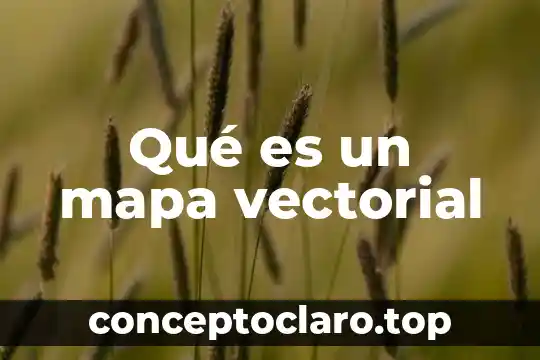 Mapa conceptual de que es falacia y tipos de falacia 7 Qu茅 es un mapa vectorial