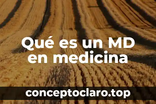 Qué es un MD en medicina