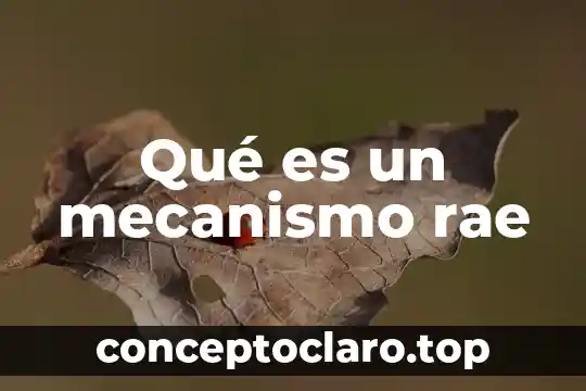 Que es un resorte de mecanismo para una llanta 5 Qué es un mecanismo rae