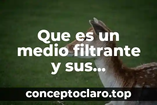 Textos científicos y populares que es y características 6 Que es un medio filtrante y sus caracteristicas