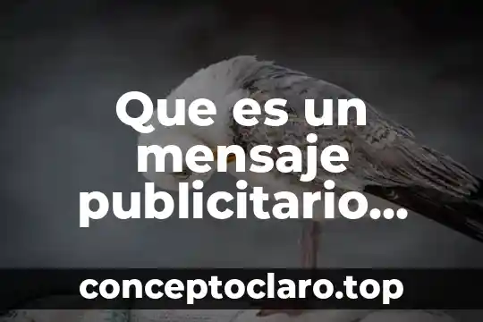 Que es finanzas de efectivo 5 Que es un mensaje publicitario efectivo