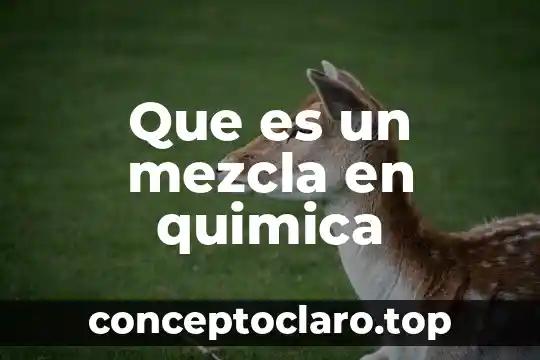 Que es el shampoo elemento compuesto o mezcla 6 Que es un mezcla en quimica